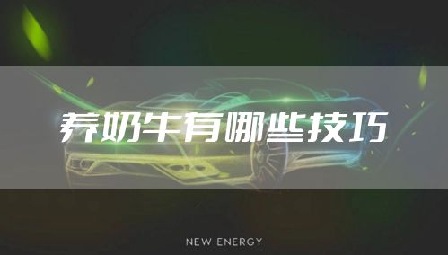 养奶牛有哪些技巧