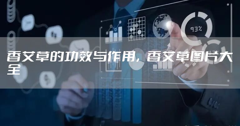 香艾草的功效与作用，香艾草图片大全