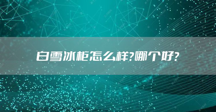 白雪冰柜怎么样？哪个好？