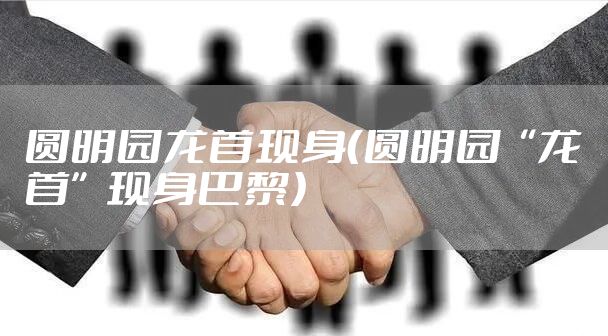 圆明园龙首现身（圆明园“龙首”现身巴黎）