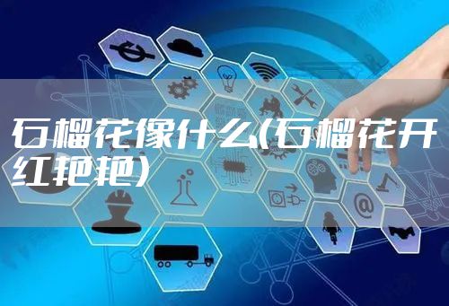 石榴花像什么（石榴花开红艳艳）