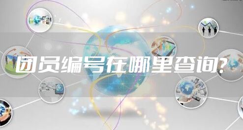 团员编号在哪里查询？