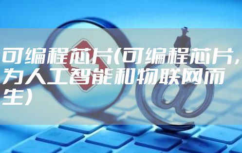 可编程芯片（可编程芯片，为人工智能和物联网而生）