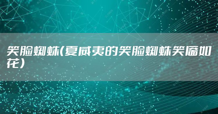 笑脸蜘蛛（夏威夷的笑脸蜘蛛笑靥如花）