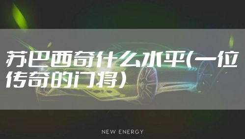 苏巴西奇什么水平（一位传奇的门将）