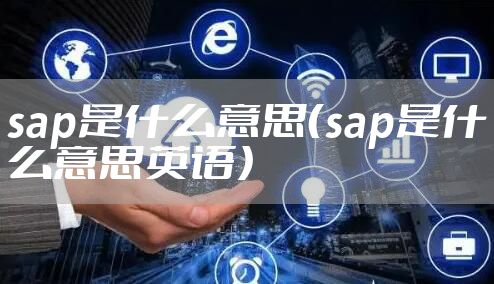 sap是什么意思（sap是什么意思英语）