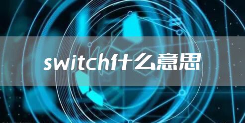 switch什么意思