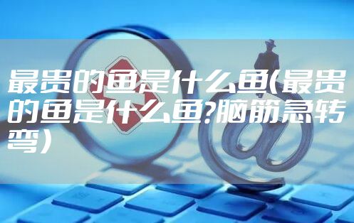 最贵的鱼是什么鱼（最贵的鱼是什么鱼?脑筋急转弯）