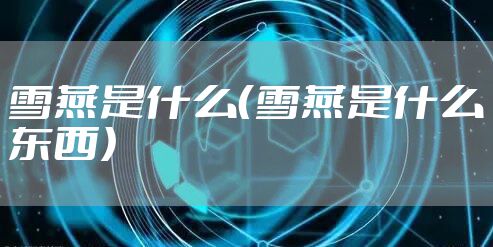 雪燕是什么（雪燕是什么东西）