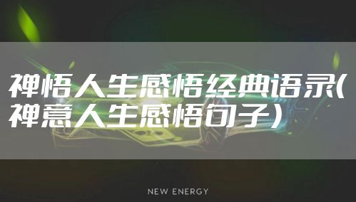 禅悟人生感悟经典语录(禅意人生感悟句子)