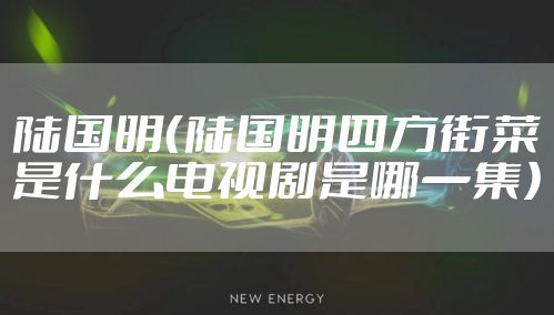 陆国明(陆国明四方街菜是什么电视剧是哪一集)