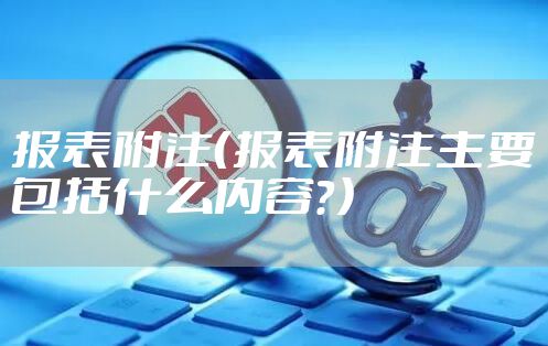报表附注（报表附注主要包括什么内容？）