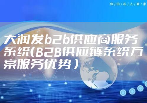 大润发b2b供应商服务系统(B2B供应链系统方案服务优势 )