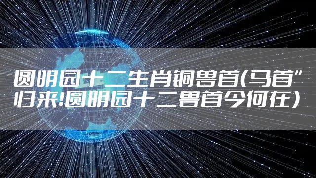 圆明园十二生肖铜兽首（马首”归来！圆明园十二兽首今何在）