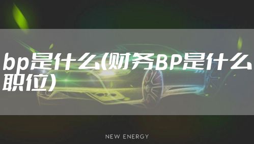 bp是什么(财务BP是什么职位)