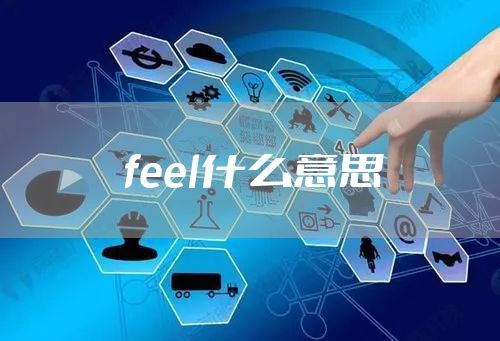 feel什么意思