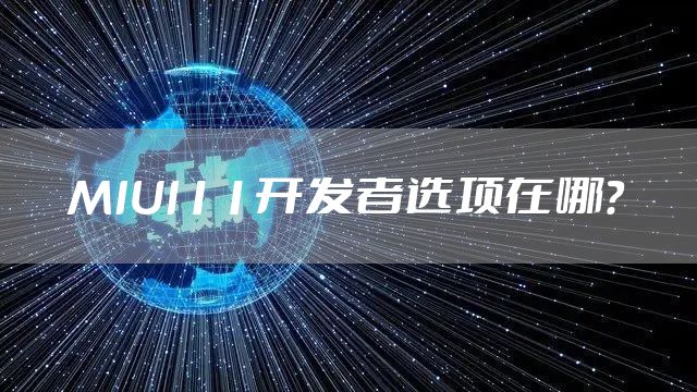 MIUI11开发者选项在哪？