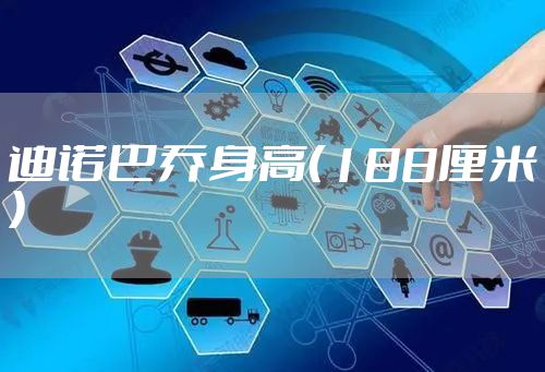 迪诺巴乔身高（188厘米）