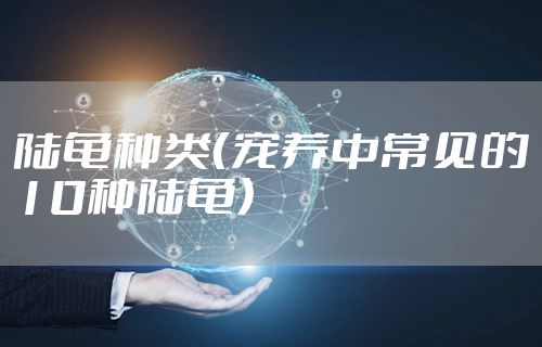 陆龟种类（宠养中常见的10种陆龟）