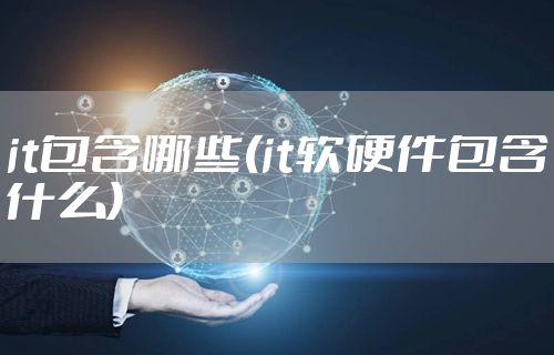 it包含哪些(it软硬件包含什么)