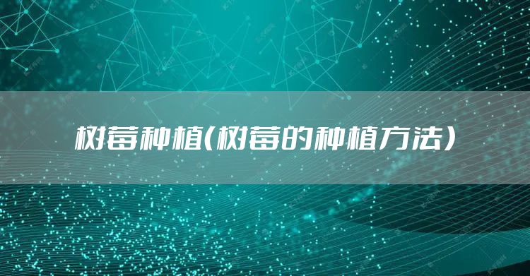 树莓种植（树莓的种植方法）