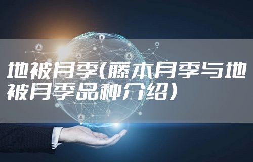 地被月季(藤本月季与地被月季品种介绍)