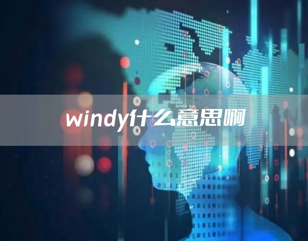 windy什么意思啊
