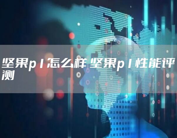 坚果p1怎么样 坚果p1性能评测