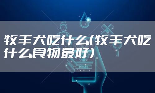 牧羊犬吃什么（牧羊犬吃什么食物最好）