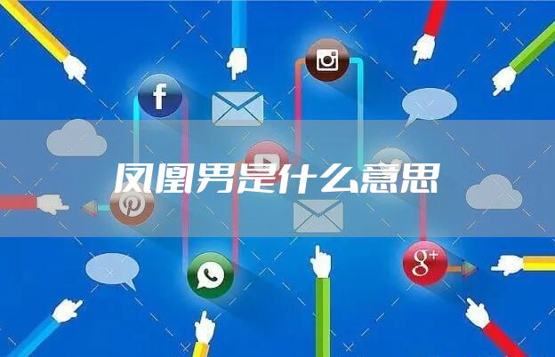 凤凰男是什么意思