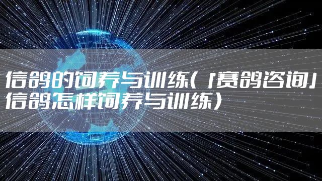 信鸽的饲养与训练（「赛鸽咨询」信鸽怎样饲养与训练）