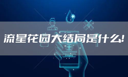 流星花园大结局是什么！