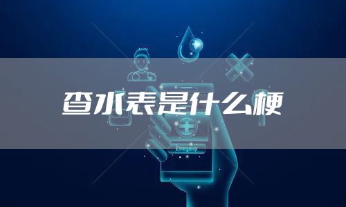 查水表是什么梗