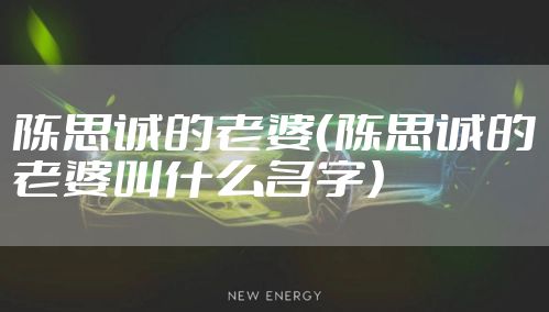 陈思诚的老婆（陈思诚的老婆叫什么名字）