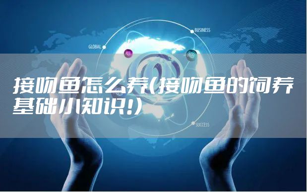 接吻鱼怎么养（接吻鱼的饲养基础小知识!）