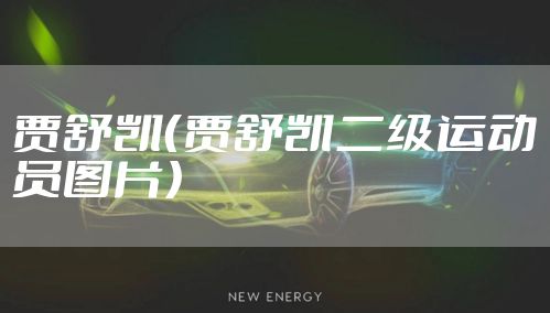 贾舒凯(贾舒凯二级运动员图片)