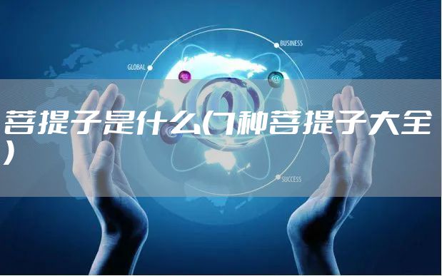 菩提子是什么(7种菩提子大全)