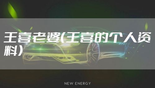 王喜老婆（王喜的个人资料）