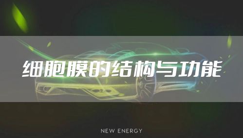 细胞膜的结构与功能