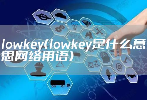 lowkey(lowkey是什么意思网络用语)