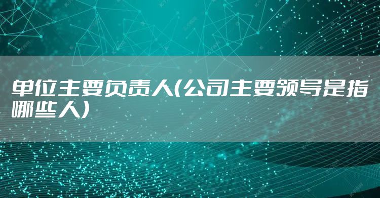 单位主要负责人（公司主要领导是指哪些人）