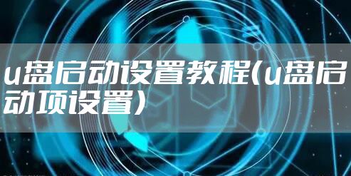 u盘启动设置教程（u盘启动项设置）