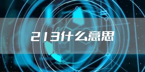 213什么意思