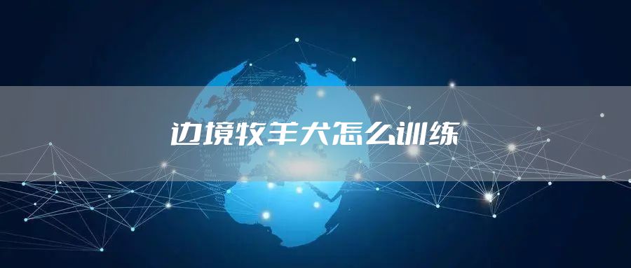 边境牧羊犬怎么训练