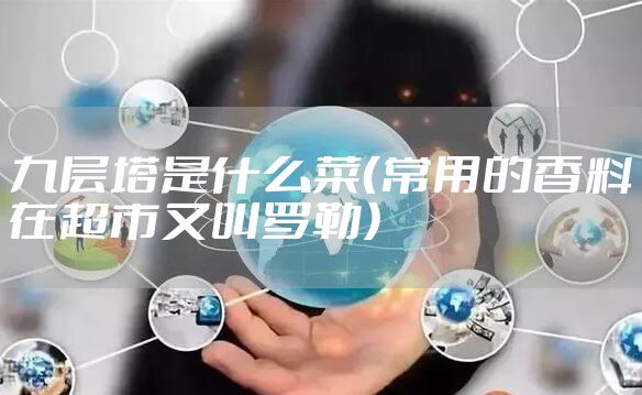 九层塔是什么菜（常用的香料在超市又叫罗勒）