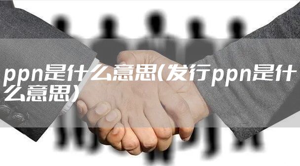 ppn是什么意思（发行ppn是什么意思）