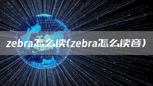 zebra怎么读(zebra怎么读音)