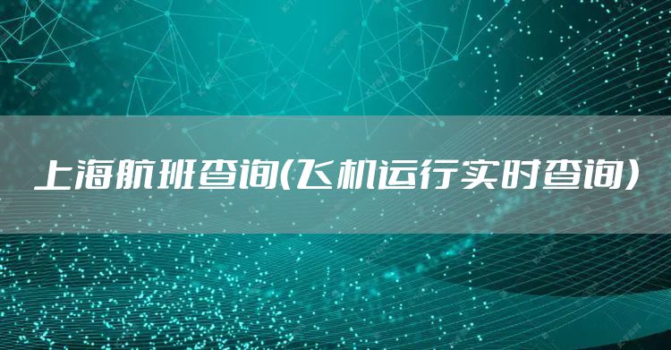 上海航班查询（飞机运行实时查询）