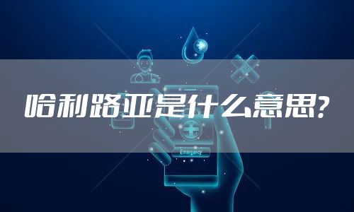 哈利路亚是什么意思？