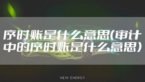 序时账是什么意思(审计中的序时账是什么意思)